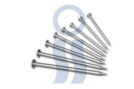 Clavo Punta Paris X Kilo